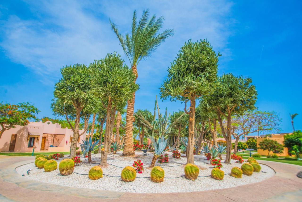 Nubian Village, Families And Couples Only Sharm el-Sheikh Eksteriør billede